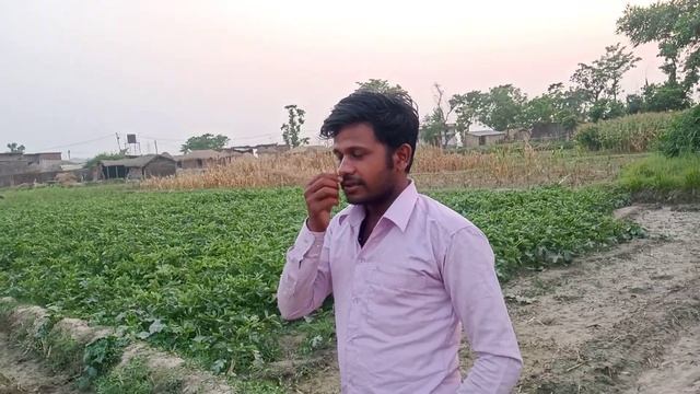 धनिया की खेती कैसे करे | धनिया की खेती कब और कैसे करें |dhaniya ki kheti kaise karen | dhaniya | kh смотреть онлайн