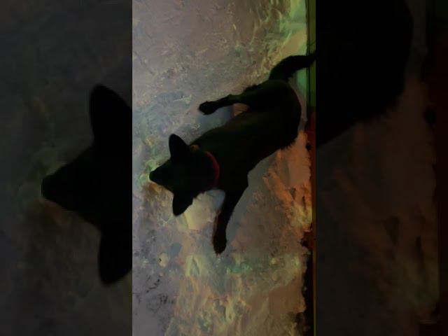 40091BF9 6BB5 4329 A379 2C7FF7491282 смотреть онлайн