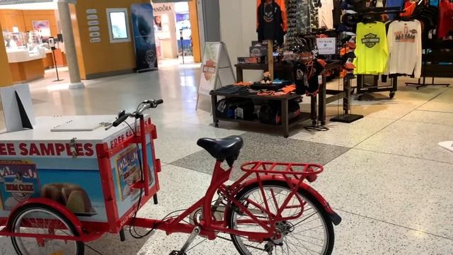 Bridgetown Grantley Adams International Airport смотреть онлайн