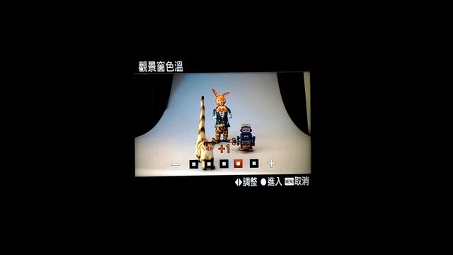 Sony Cybershot DSC-RX100 III EVF Demo смотреть онлайн