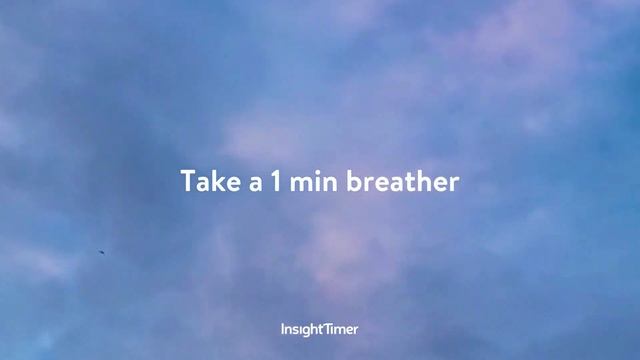 Short Meditation for Stress & Anxiety | Meditation & Mindfulness | Insight Timer смотреть онлайн