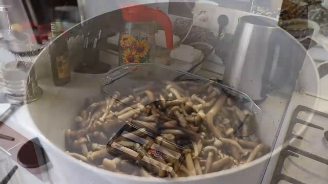 Маринованные грибы на Зиму. Мой проверенный рецепт опят смотреть онлайн