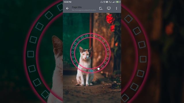 New preloader animation Design using HTML CSS and JavaScript смотреть онлайн