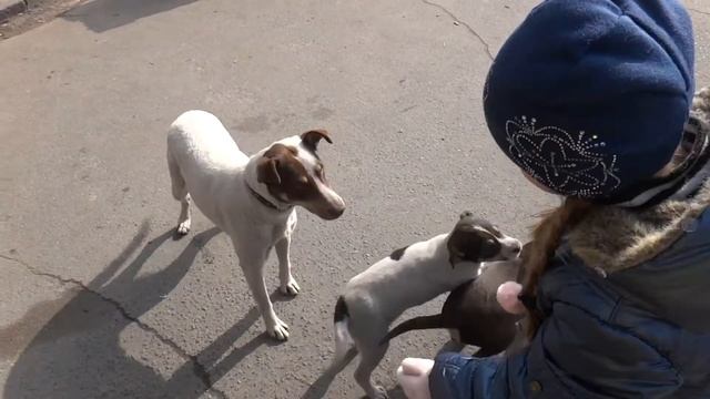 Барахолка Благбаз Харьков (Центральный рынок). 25.02.18. Лена Слютена смотреть онлайн