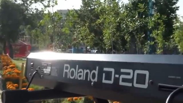 Диско группа 