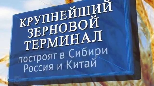 Постройка крупнейшего зернового терминала смотреть онлайн