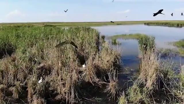 kalm0521 4030 1 смотреть онлайн