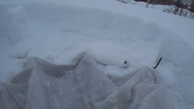 Зимнее хранение роз смотреть онлайн