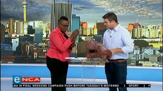 New giant dinosaur species discovered in Free State смотреть онлайн