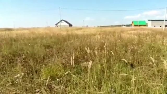 В Рыбно-Слободском районе провели проверку по пожарной безопасности смотреть онлайн