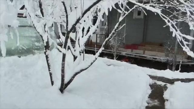 Снег на Крещение в Краснодарском крае. смотреть онлайн