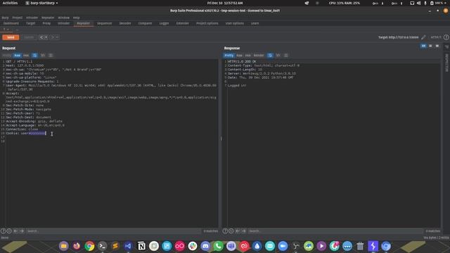 Update requests with rotated session after user logs out | Burp Suite Pro | Cookies & Authorization смотреть онлайн