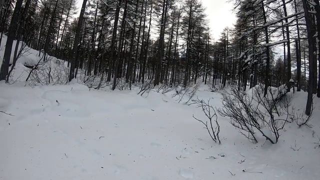 снегоход стелс викинг 800 , всегда первый смотреть онлайн