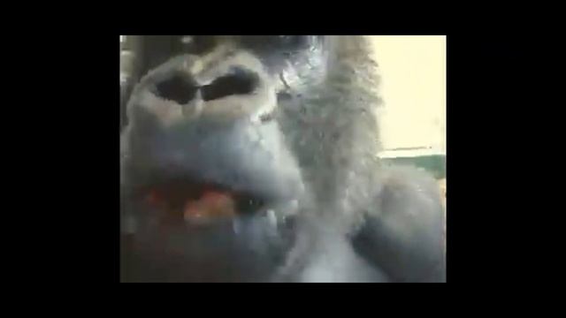 ШКОЛО БЛОГЕРЫ смотреть онлайн