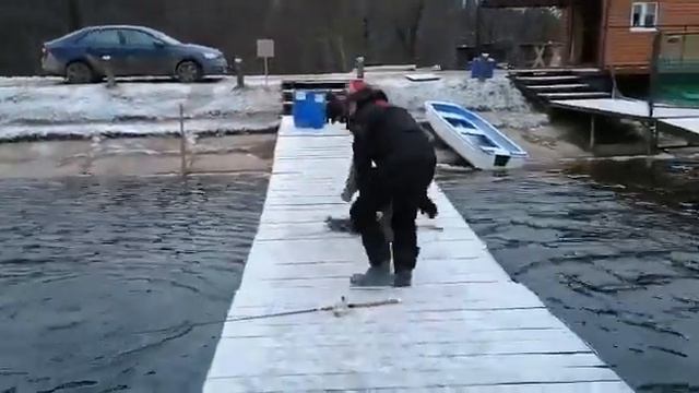 28 декабря 2019 г. смотреть онлайн