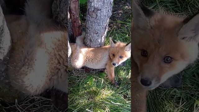 СПАСЕНИЕ ЛЕТОМ 2021! ? смотреть онлайн