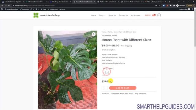 How to Create an Ecommerce Online Shop Website with WordPress and Cloudways смотреть онлайн