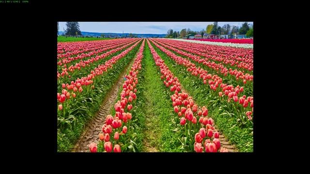 Хорошая цветокоррекция фотографий природы - Отзыв на работу фото редактора смотреть онлайн