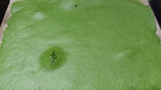 Анимационные Фильмы и Мультсериалы