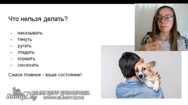 Если щенок испугался? Что делать? Что, если собака чего-то испугалась? Как побороть страх у собаки смотреть онлайн