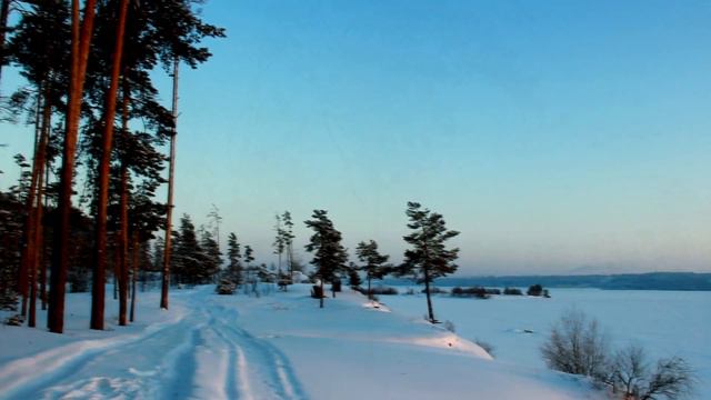 Зимний лес❤ смотреть онлайн