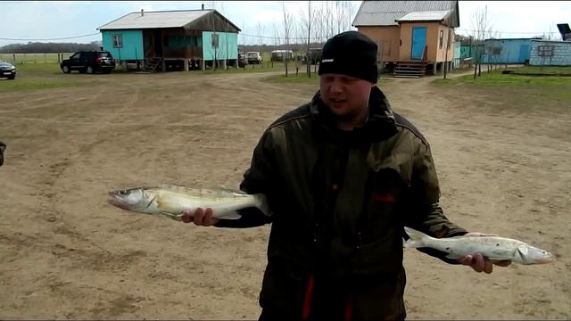 Рыбалка и отдых на базе Ахтуба клуб, апрель 2016