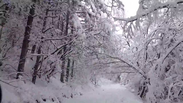 Света Петка Млдавска 17.01.16 смотреть онлайн