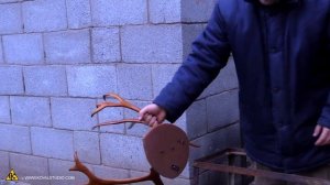 Реставрация рогов оленя, изготовление бланка