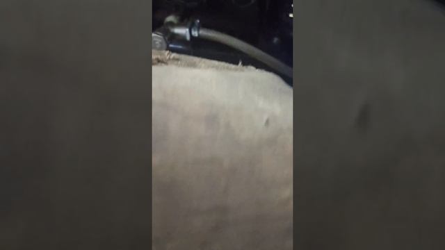 птс вектор 330 пуск смотреть онлайн