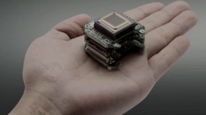 Правила и особенности охоты с тепловизором