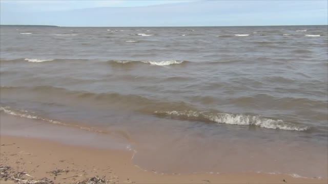 Экологическая тропа "Ладожский берег"