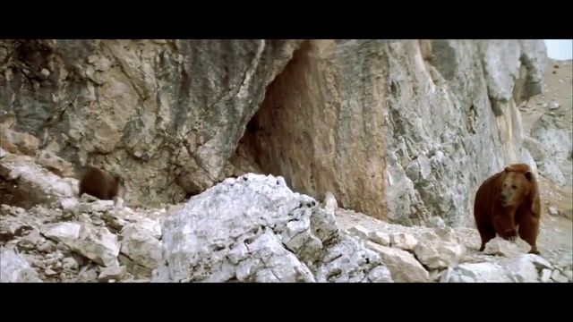 Медведь.No easy way out.L'ours. The Bear (1988) смотреть онлайн