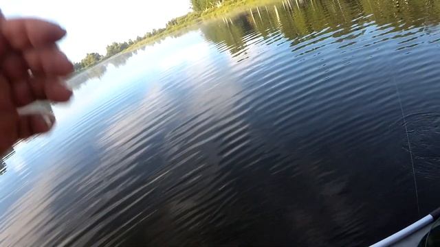 КЛЕПИКОВО ШИБАЕВО КУРЬЯ смотреть онлайн