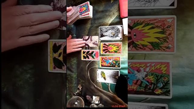 Going in for the Kill ? He's Speaking. From a Frog to a ? смотреть онлайн