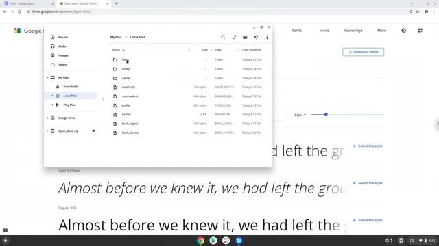 How to install Fonts on a Chromebook for Linux applications смотреть онлайн