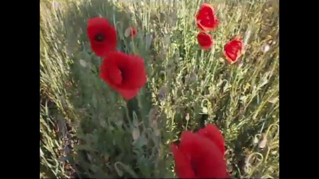 Уходит волшебство смотреть онлайн