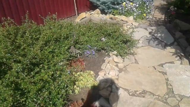 как поднять настроение если вам совсем плохо и рядом нет никого . смотреть онлайн