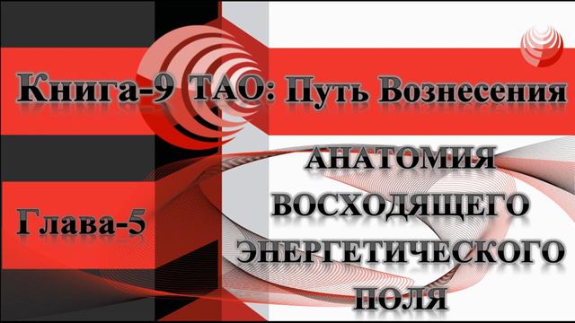 ТАО: Путь Вознесения. Книга 9. Анатомия восходящего энергетического поля.