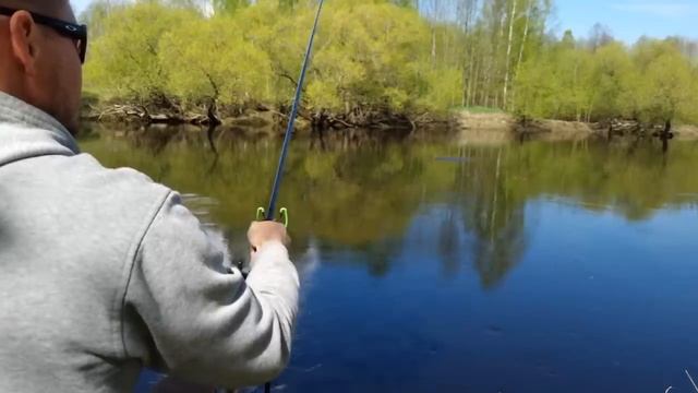 С фидером на реке 2023. Рыбалка 27 апреля. Краткий отчет. смотреть онлайн