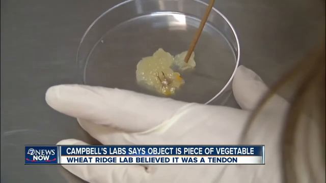 Campbell's: Object In Soup Was Vegetable