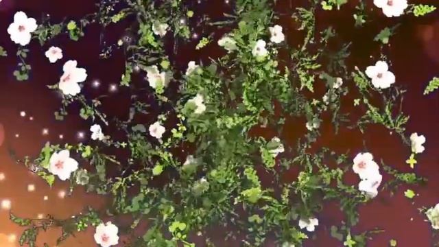 Неземная красота Чо Ин Сона Фанвидео