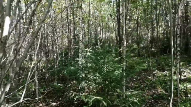 Приглашаю отдохнуть! смотреть онлайн