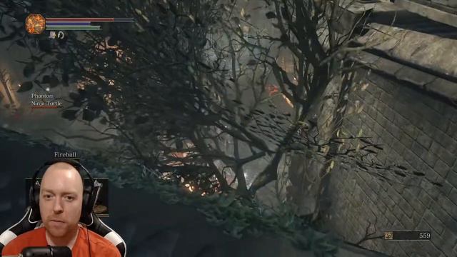 Dank Holes 3 [That Elden Ring Training] смотреть онлайн