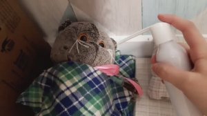 Басик заболел!