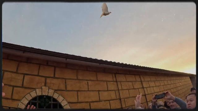 СВАДЬБА НА 120 ЧЕЛОВЕК! СВАДЕБНОЕ ПРОМО ВИДЕО! СВАДЬБА В ДЕРЕВНЕ! смотреть онлайн
