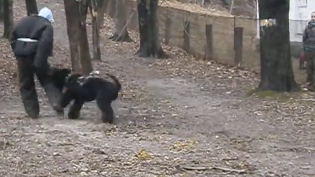 Злата Блок пост смотреть онлайн