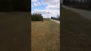 Apollo Thunder 125cc Pit bike