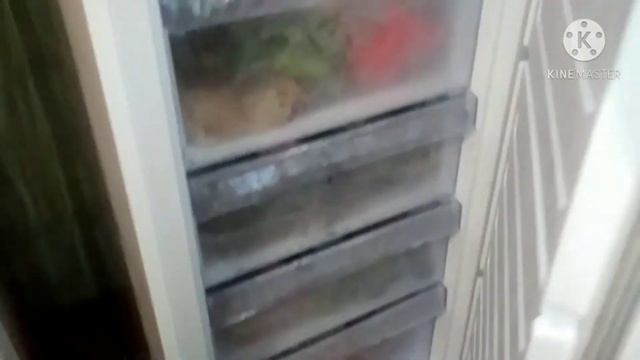 Суп. Содержимое морозилки.Мурочка.