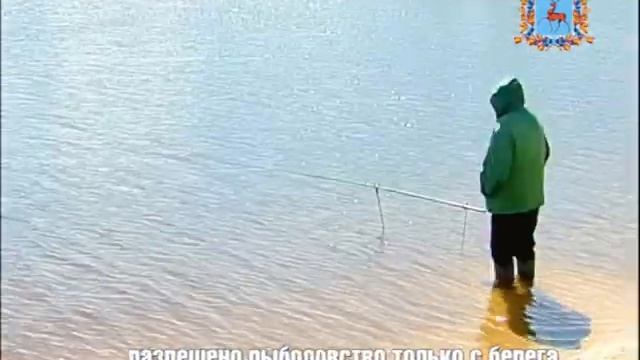 КУРС НА НЕРЕСТ смотреть онлайн