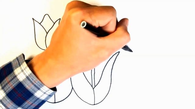 Рисунок ЦВЕТЫ / Как нарисовать ТЮЛЬПАНЫ / Урок рисования для начинающих / How To Draw an Tulips смотреть онлайн